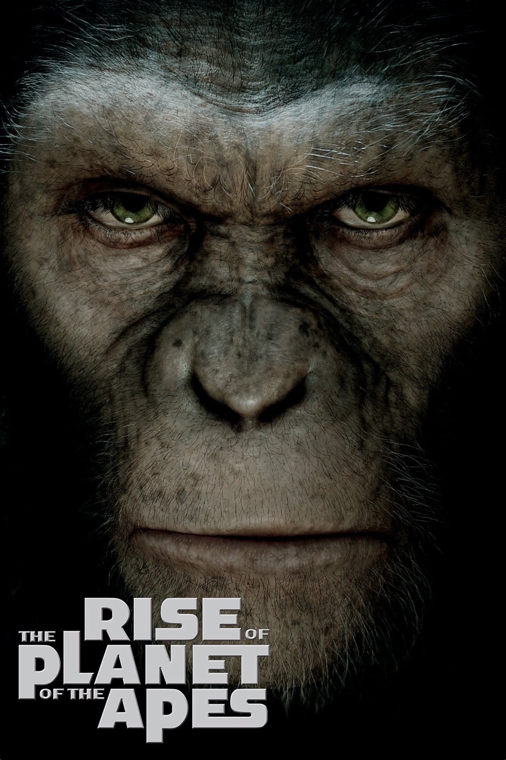 Rise Planet Of The Apes Free